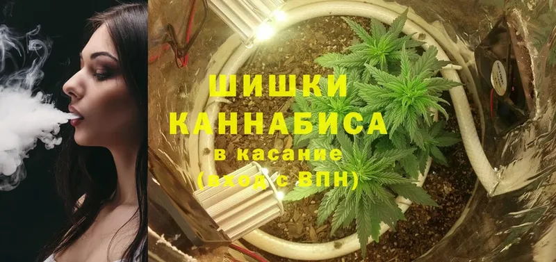 цена   Кингисепп  Каннабис OG Kush 